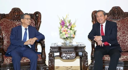 张和平副总理会见大岛浩大使。（图片来源：VGP）