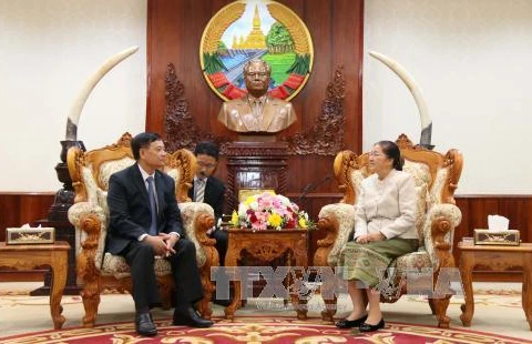 老挝国会主席巴妮·雅陶都与陈文粹主任（图片来源：越通社）