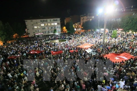 土耳其人民在街头示威反对政变（图片来源：越通社）