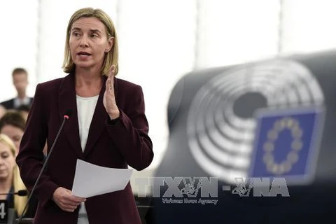 欧盟外交与安全政策高级代表费代丽卡·莫盖里尼（图片来源：AFP）