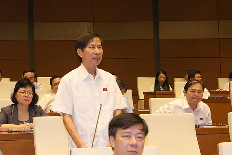 宁平省国会代表发表意见（图片来源：越通社）
