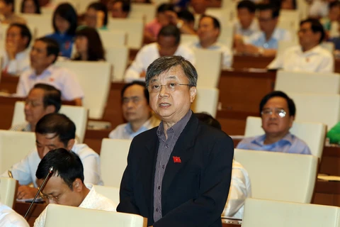 胡志明市国会代表发表意见（图片来源：越通社）