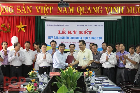 签字仪式（图片来源：bacgiang.gov.vn）