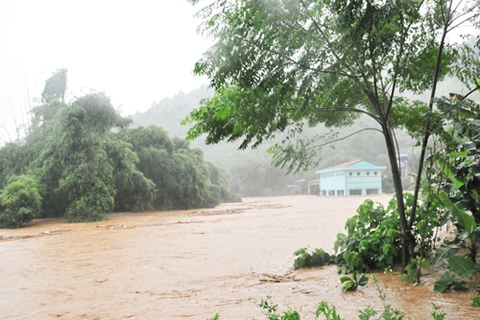 人二号台风袭击老街省导致洪水泥石流。（图片来源：http://vnexpress.net）​