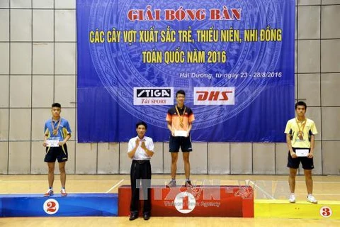 海阳队在2016年越南全国青少年乒乓球比赛取得最佳成绩（图片来源：越通社）