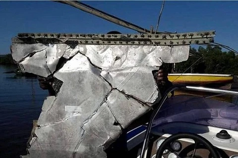莫桑比克发现的残骸。（图片来源：dailymail.co.uk）