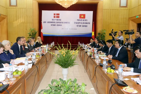 越南—丹麦政府间合作委员会第五次会议（图片来源：越通社）