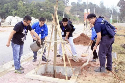 两国青年亲手种下了象征着越中建交66周年的66棵树（图片来源：越通社）