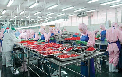 胡志明市越日食品加工厂（图片来源：sggp.org.vn）