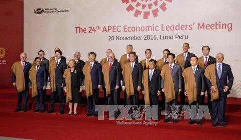 APEC各成员国领导合影（图片来源：越通社）