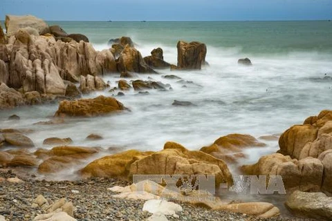 让人着迷的古石色彩石滩美景（图片来源：越通社）