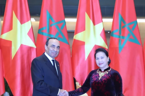 越南国会主席阮氏金银与摩洛哥众议院议长哈比博·马勒克举行会谈 (组图）
