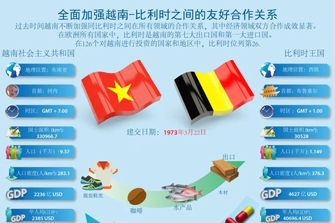 图表新闻：全面加强越南与比利时之间的友好合作关系