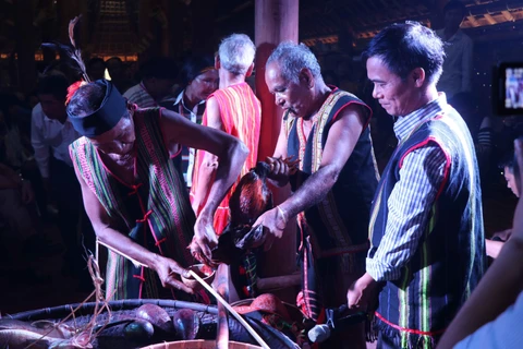 得农省：再现莫侬族牛油果成熟季节庆祝仪式（组图）
