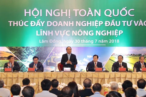 阮春福总理主持召开“加大企业对农业投资力度”全国会议（组图）