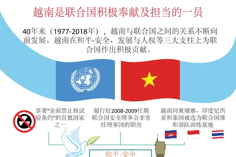 图表新闻：越南是联合国积极奉献及担当的一员 