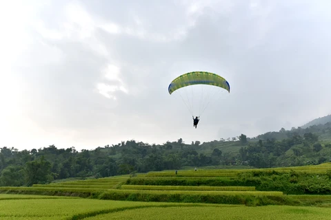 宣光省首次举行滑翔伞表演（组图）