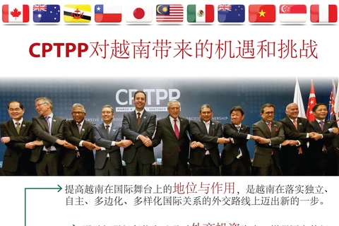 图表新闻： CPTPP对越南带来的机遇和挑战 