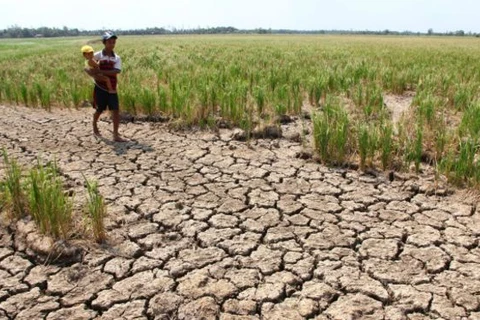 湄公河下游干旱情况