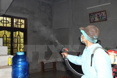医务人员喷洒灭蚊药剂。