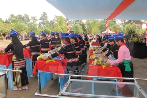 在柬牺牲的越南烈士遗骸安葬仪式