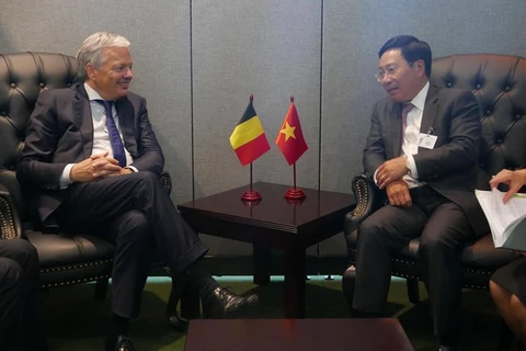 范平明副总理会见比利时外交大臣迪迪尔。（图片来源：越通社）