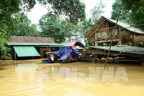 中部各省刚刚遭受暴雨洪水并严重受损。