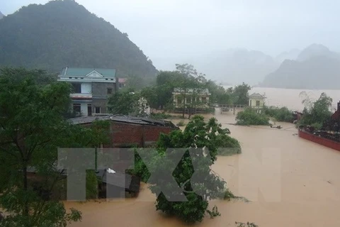 广平省多间民房仍被洪水淹没