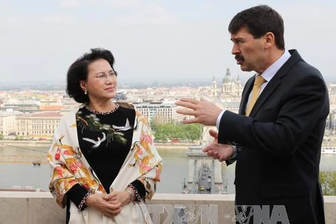 越南国会主席阮氏金银礼节性拜访匈牙利总统匈牙利总统阿戴尔。