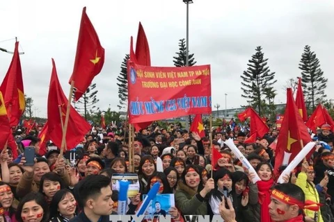 数万名越南球迷赴内排机场迎接越南足球队回国（组图）