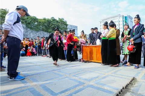 奠边省人民欢度2018年戊戌春节（组图）