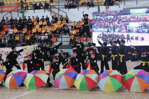 2018年胡志明市国际传统武术节（组图）