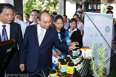 越南政府总理阮春福出席昆嵩玉玲人参与其他药材投资促进会（组图）