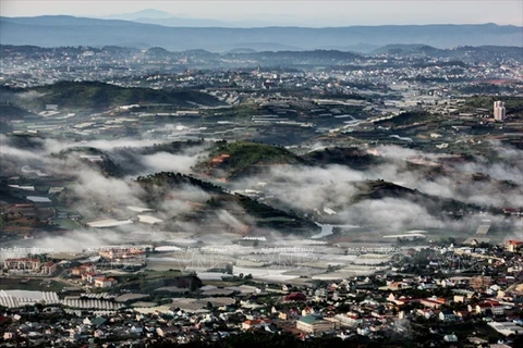 从1950米的山峰俯瞰，大叻市云雾缭绕。（图片来源：越南画报）