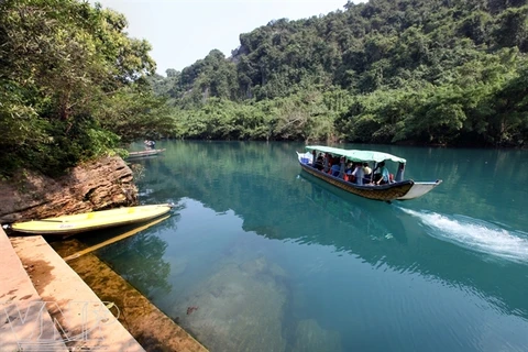 游客乘船游览斋河的原始美。（图片来源：越通社《越南画报》）