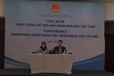 13日举行的“加大对越南爆炸物受害者的扶持力度”座谈会