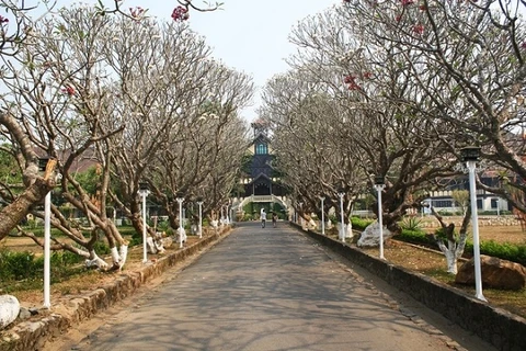 引入崑崇教会的道路。崑崇教堂于1936年起建，带有西方建筑风格和西原文化风味，是该城市的著名工程。