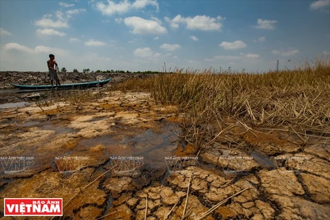 九龙江平原全部13省都遭遇百年未见的最严酷的干旱和海水入侵双重灾害。
