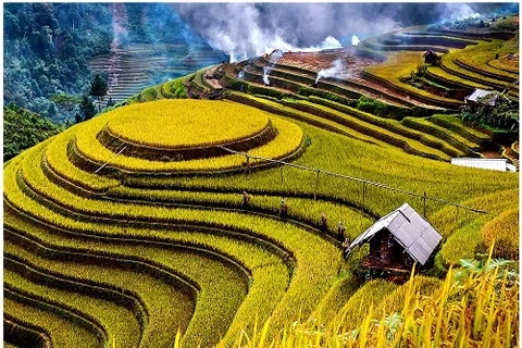 安沛省木岗寨的“金季”。