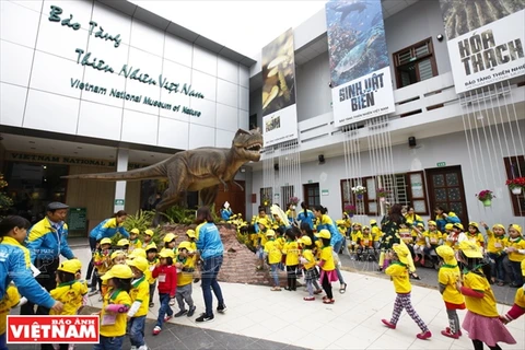 越南自然博物馆吸引众多游客前来参观。