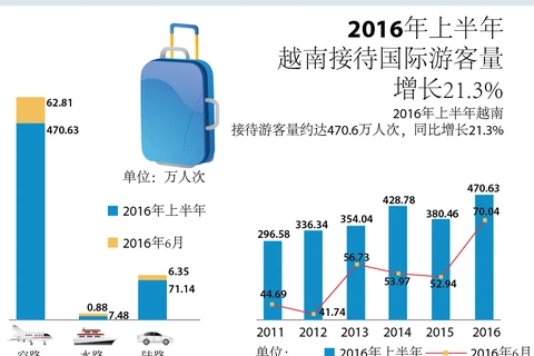 2016年上半年越南接待国际游客量增长21.3%
