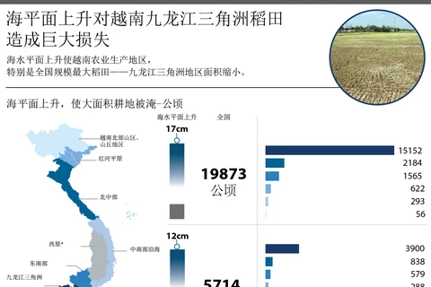 海平面上升对越南九龙江三角洲稻田造成巨大损失。