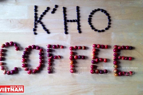 “K’Ho Coffee”是郎边高原清洁咖啡品牌。