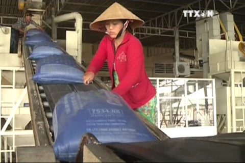 2016年前10个月越南大米出口量达420万吨