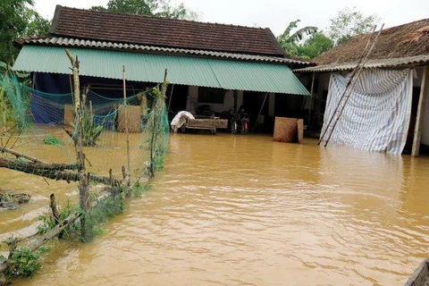 河静省石河县石新乡的民房没洪水淹没。（图片来源：越通社）