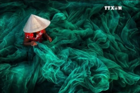 越南之美图片荣获国际权威摄影奖