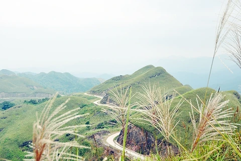 平辽县西边边境巡逻线路。（图片来源：广宁报）