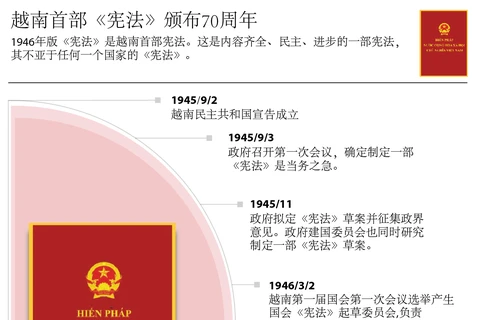 越南首部《宪法》颁布70周年
