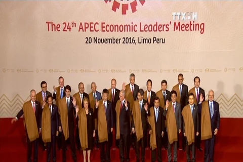 APEC第24次领导人非正式会议圆满结束