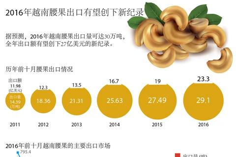 2016年越南腰果出口有望创下新纪录